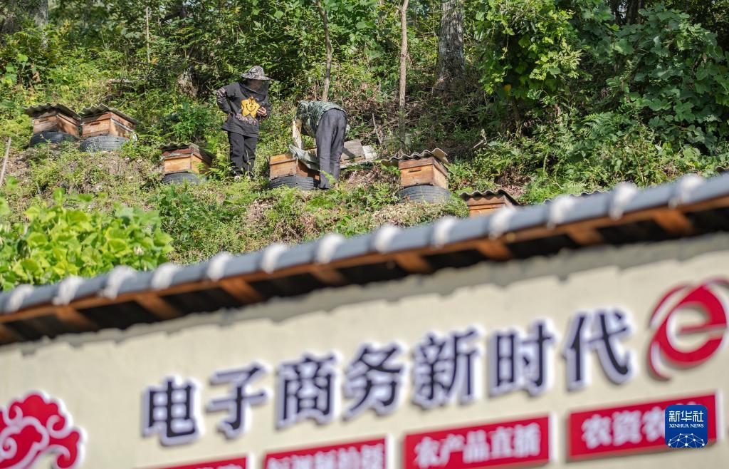 球盘皇冠公司